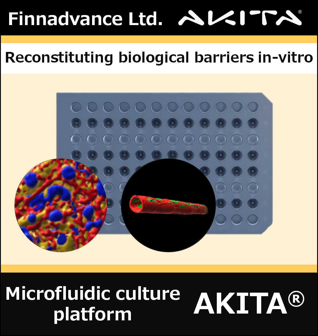 Finnadvance Ltd. – AKITA®
